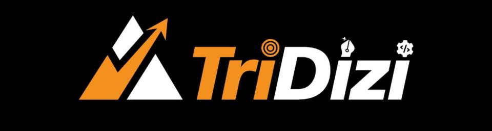 TriDizi AI Digital marketing course in hyderabad