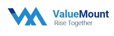 Valuve Mount AI Digital marketing course in hyderabad